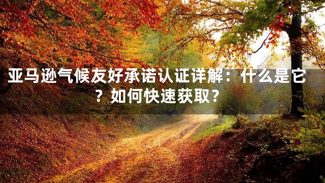 亚马逊气候友好承诺认证详解：什么是它？如何快速获取？