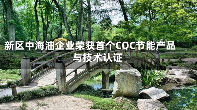 新区中海油企业荣获首个CQC节能产品与技术认证