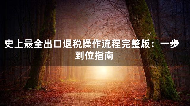 史上最全出口退税操作流程完整版：一步到位指南