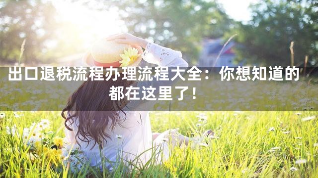 出口退税流程办理流程大全：你想知道的都在这里了！