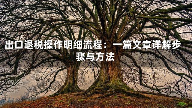 出口退税操作明细流程：一篇文章详解步骤与方法