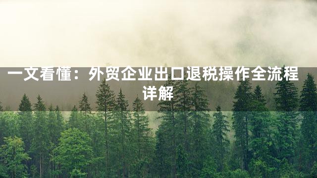 一文看懂：外贸企业出口退税操作全流程详解
