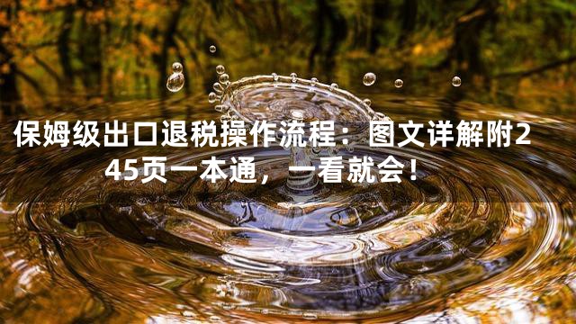 保姆级出口退税操作流程：图文详解附245页一本通，一看就会！