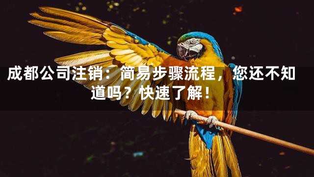 成都公司注销：简易步骤流程，您还不知道吗？快速了解！
