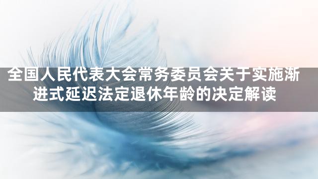全国人民代表大会常务委员会关于实施渐进式延迟法定退休年龄的决定解读