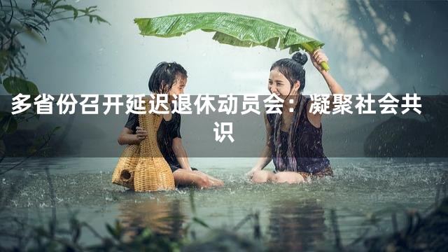 多省份召开延迟退休动员会：凝聚社会共识