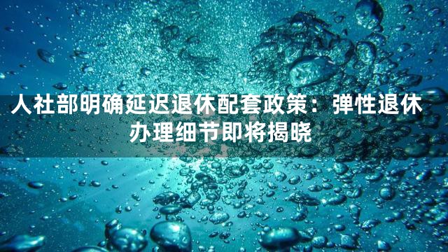 人社部明确延迟退休配套政策：弹性退休办理细节即将揭晓