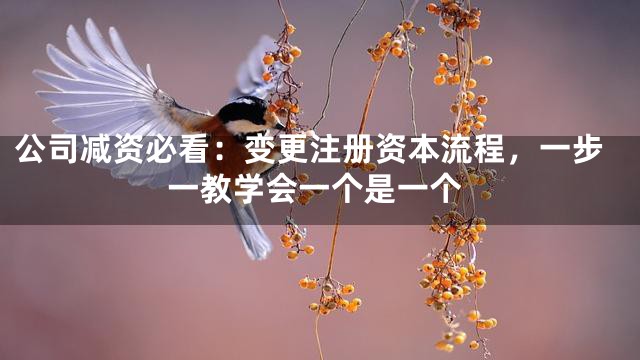 公司减资必看：变更注册资本流程，一步一教学会一个是一个