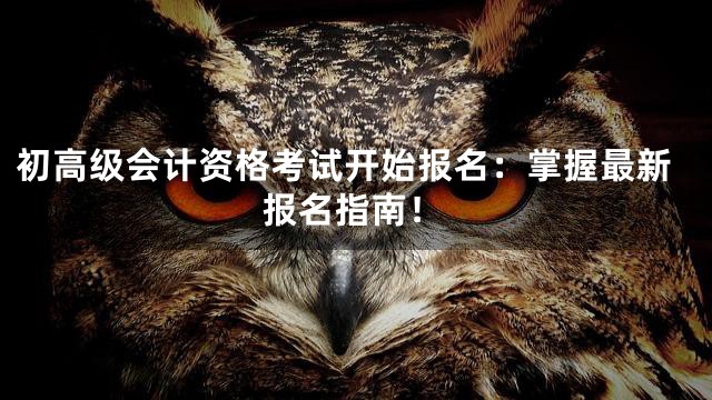 初高级会计资格考试开始报名：掌握最新报名指南！