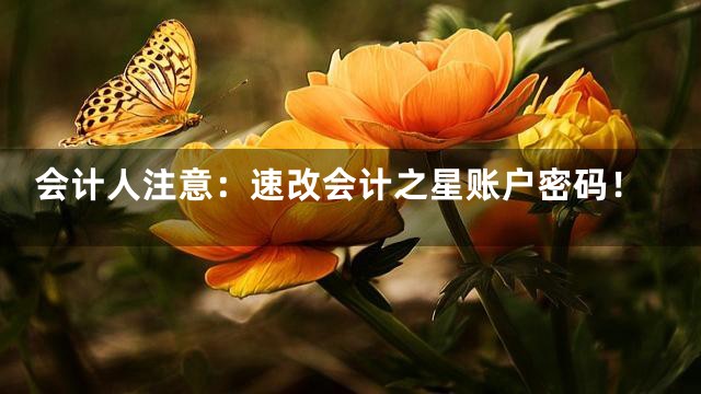 会计人注意：速改会计之星账户密码！