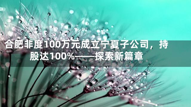 合肥非度100万元成立宁夏子公司，持股达100%——探索新篇章