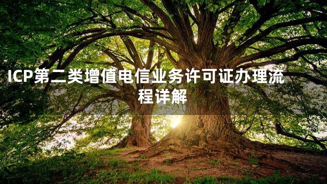 ICP第二类增值电信业务许可证办理流程详解