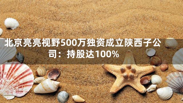 北京亮亮视野500万独资成立陕西子公司：持股达100%