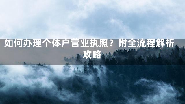如何办理个体户营业执照？附全流程解析攻略