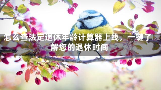 怎么查法定退休年龄计算器上线，一键了解您的退休时间