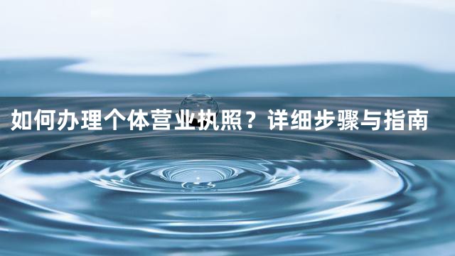 如何办理个体营业执照？详细步骤与指南