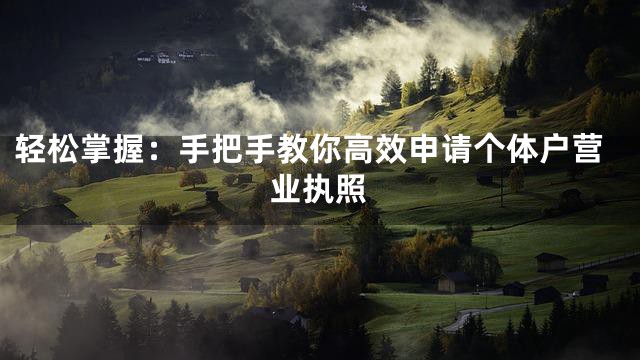 轻松掌握：手把手教你高效申请个体户营业执照