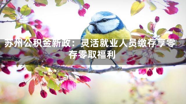 苏州公积金新政：灵活就业人员缴存享零存零取福利