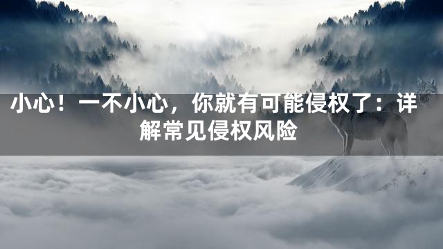 小心！一不小心，你就有可能侵权了：详解常见侵权风险