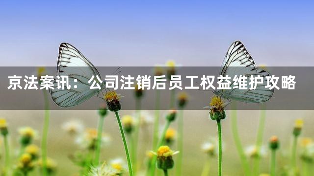 京法案讯：公司注销后员工权益维护攻略
