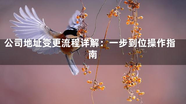 公司地址变更流程详解：一步到位操作指南