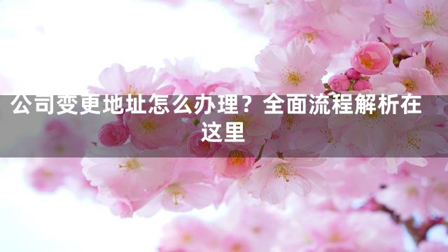 公司变更地址怎么办理？全面流程解析在这里