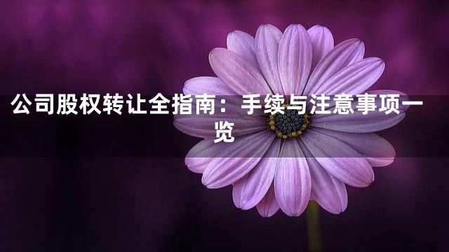 公司股权转让全指南：手续与注意事项一览