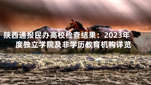 陕西通报民办高校检查结果：2023年度独立学院及非学历教育机构详览