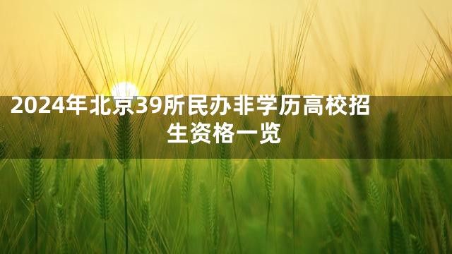 2024年北京39所民办非学历高校招生资格一览