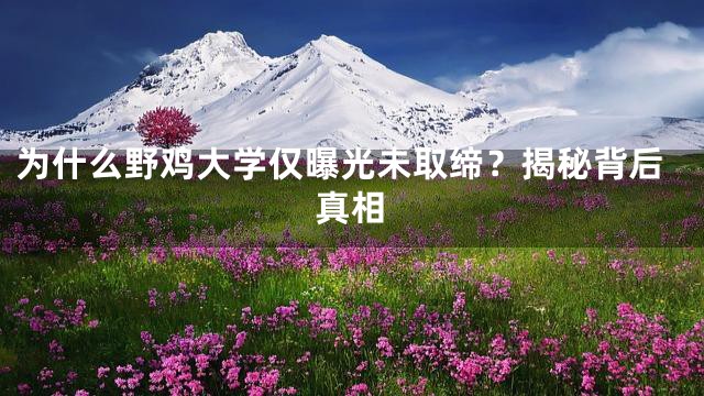 为什么野鸡大学仅曝光未取缔？揭秘背后真相