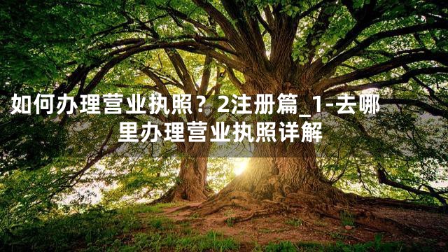 如何办理营业执照？2注册篇_1-去哪里办理营业执照详解