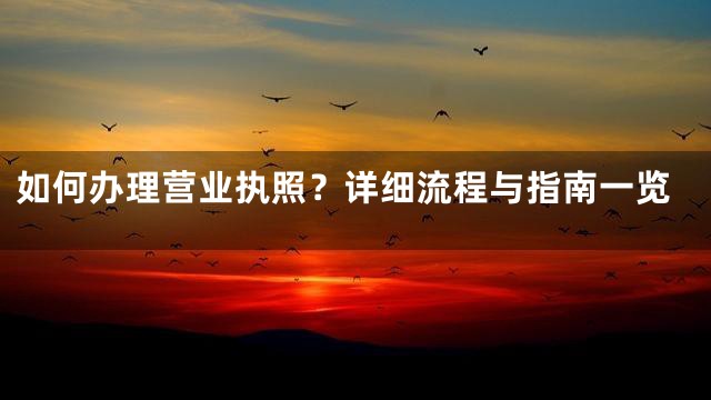 如何办理营业执照？详细流程与指南一览