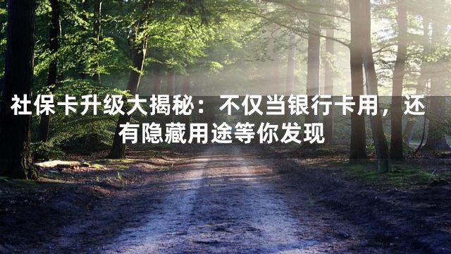 社保卡升级大揭秘：不仅当银行卡用，还有隐藏用途等你发现