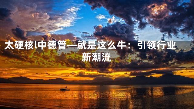 太硬核l中德管—就是这么牛：引领行业新潮流