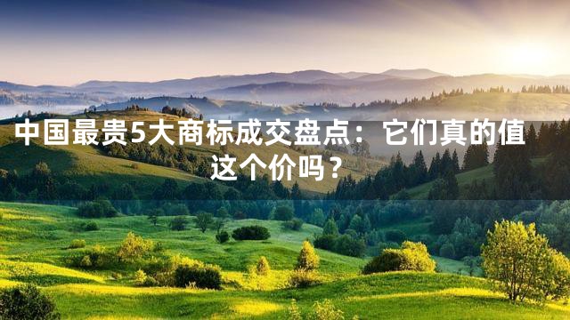 中国最贵5大商标成交盘点：它们真的值这个价吗？