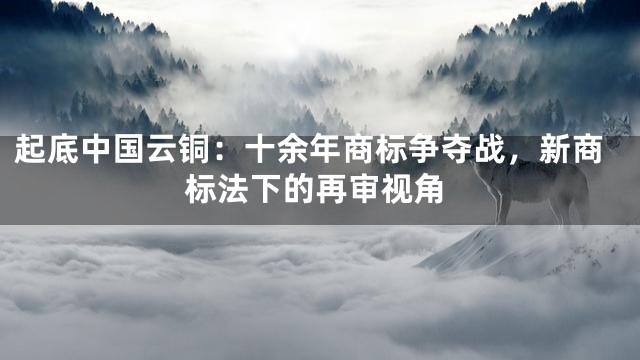 起底中国云铜：十余年商标争夺战，新商标法下的再审视角