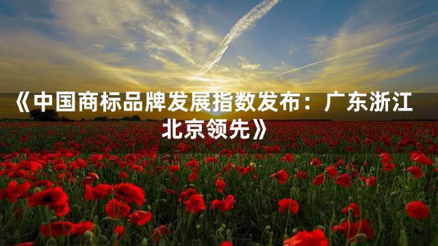 《中国商标品牌发展指数发布：广东浙江北京领先》