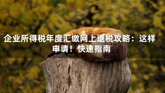 企业所得税年度汇缴网上退税攻略：这样申请！快速指南