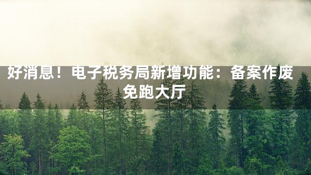 好消息！电子税务局新增功能：备案作废免跑大厅