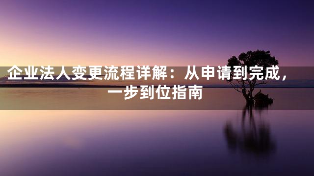 企业法人变更流程详解：从申请到完成，一步到位指南