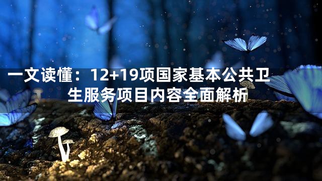 一文读懂：12+19项国家基本公共卫生服务项目内容全面解析