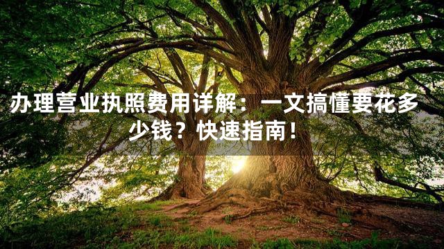 办理营业执照费用详解：一文搞懂要花多少钱？快速指南！