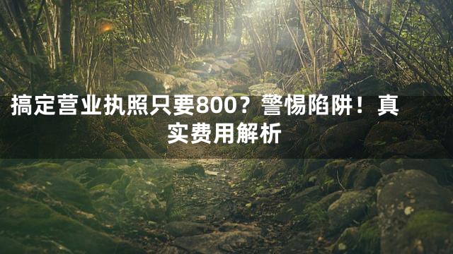 搞定营业执照只要800？警惕陷阱！真实费用解析
