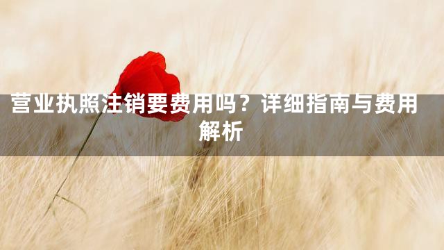 营业执照注销要费用吗？详细指南与费用解析