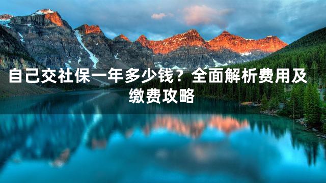 自己交社保一年多少钱？全面解析费用及缴费攻略