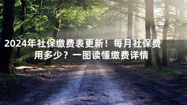 2024年社保缴费表更新！每月社保费用多少？一图读懂缴费详情
