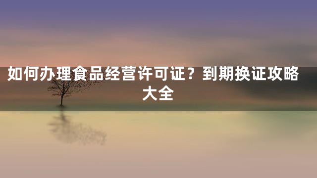 如何办理食品经营许可证？到期换证攻略大全