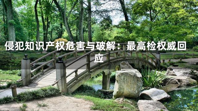 侵犯知识产权危害与破解：最高检权威回应