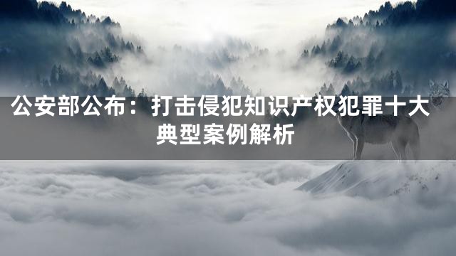 公安部公布：打击侵犯知识产权犯罪十大典型案例解析