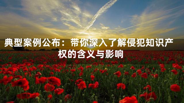 典型案例公布：带你深入了解侵犯知识产权的含义与影响